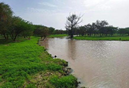 أمطار على مناطق في خمس ولايات