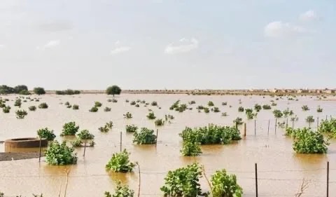 أمطار على قرى وتجمعات سكانية في خمس ولايات