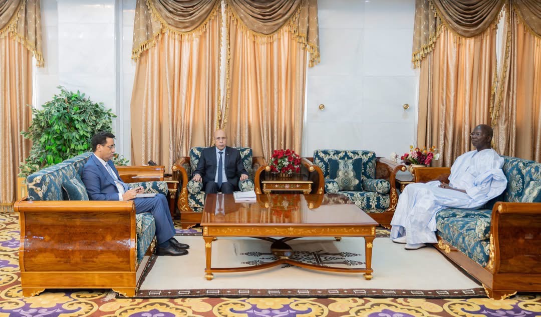 الرئيس غزواني يستقبل رئيس لجنة التحقيق في حريقي محطتي الكهرباء بنواكشوط